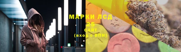 spice Карпинск