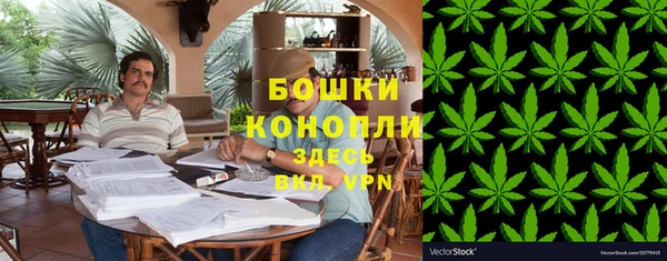 spice Карпинск
