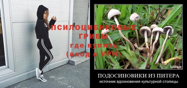 spice Карпинск