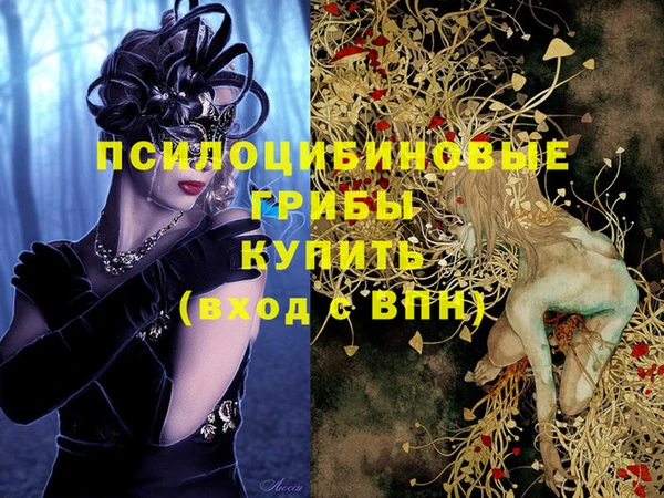 шишки Карталы