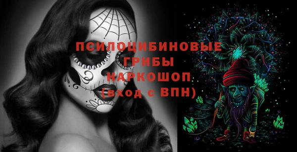 скорость Каменка