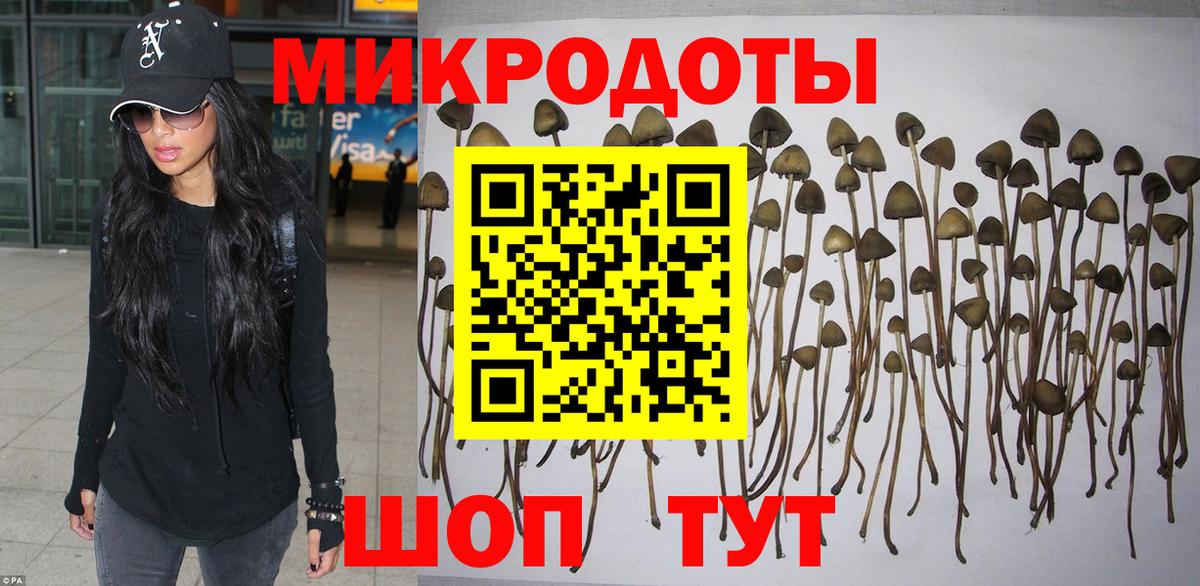 Псилоцибиновые грибы ЛСД Мурино