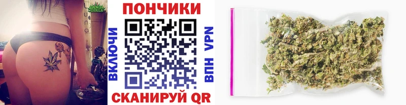 где можно купить наркотик  это состав  Марихуана сатива  Мурино 